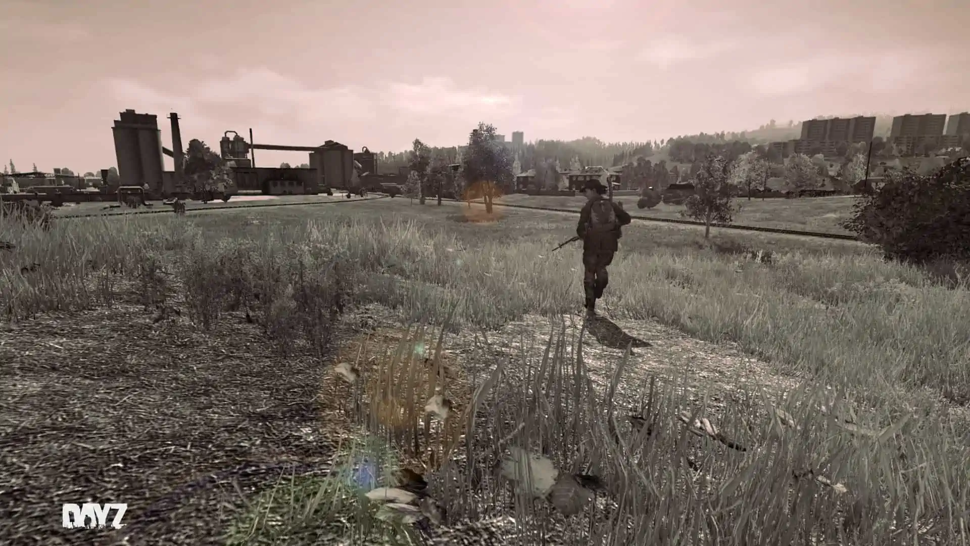DayZ Arma 2 Epoch