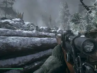Call of Duty World at War Server Hosting