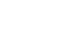 DayZ