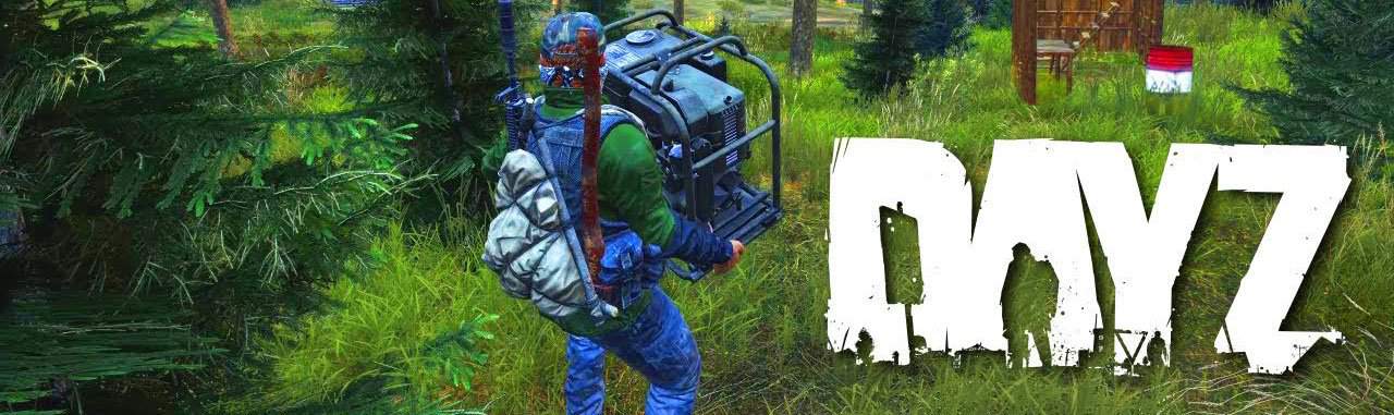 dayz banner