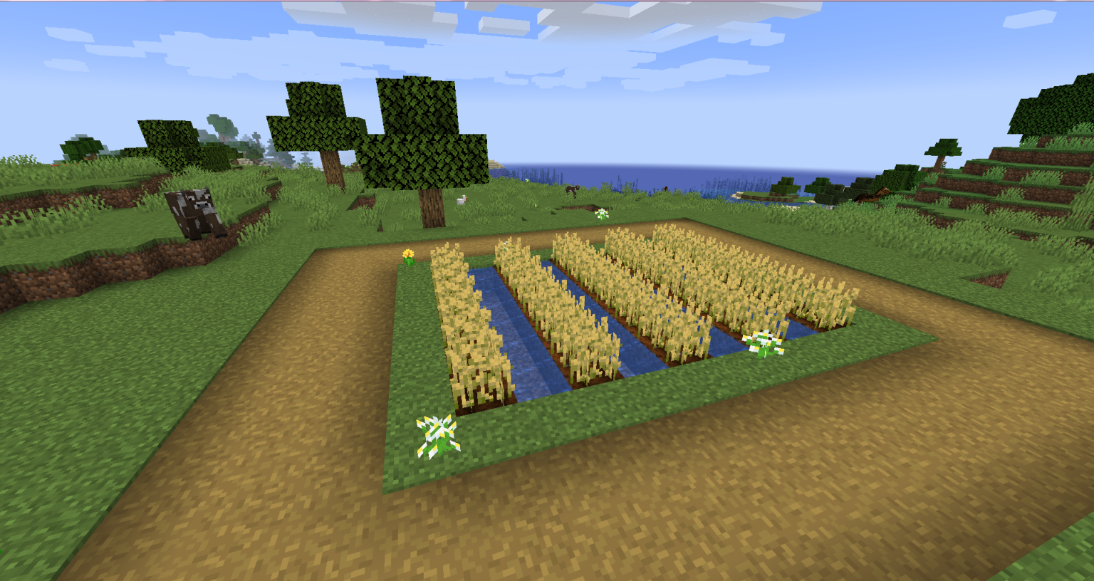 Como plantar Trigo no Minecraft