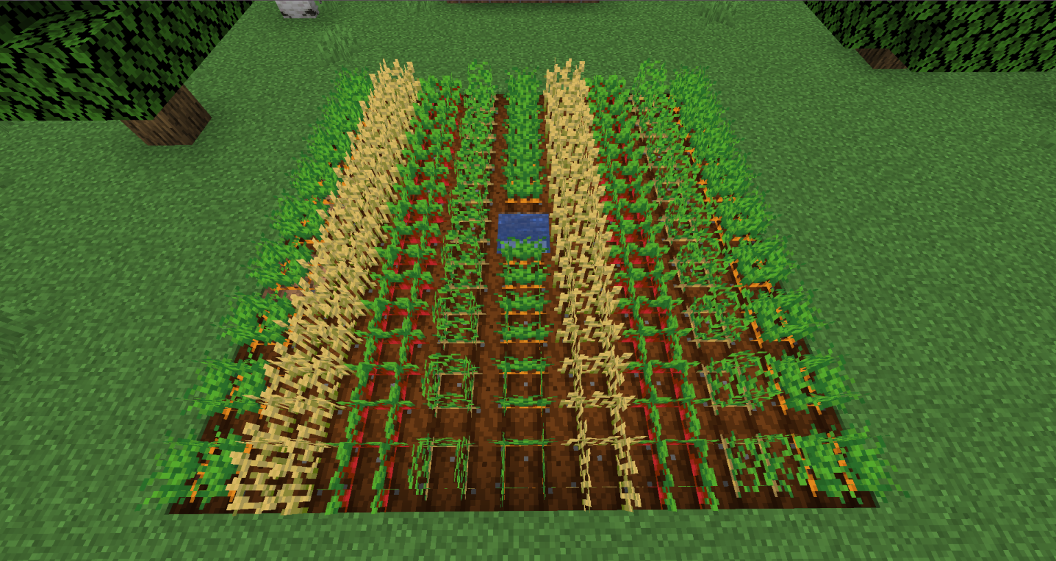 Mundo Minecraft: Como plantar?