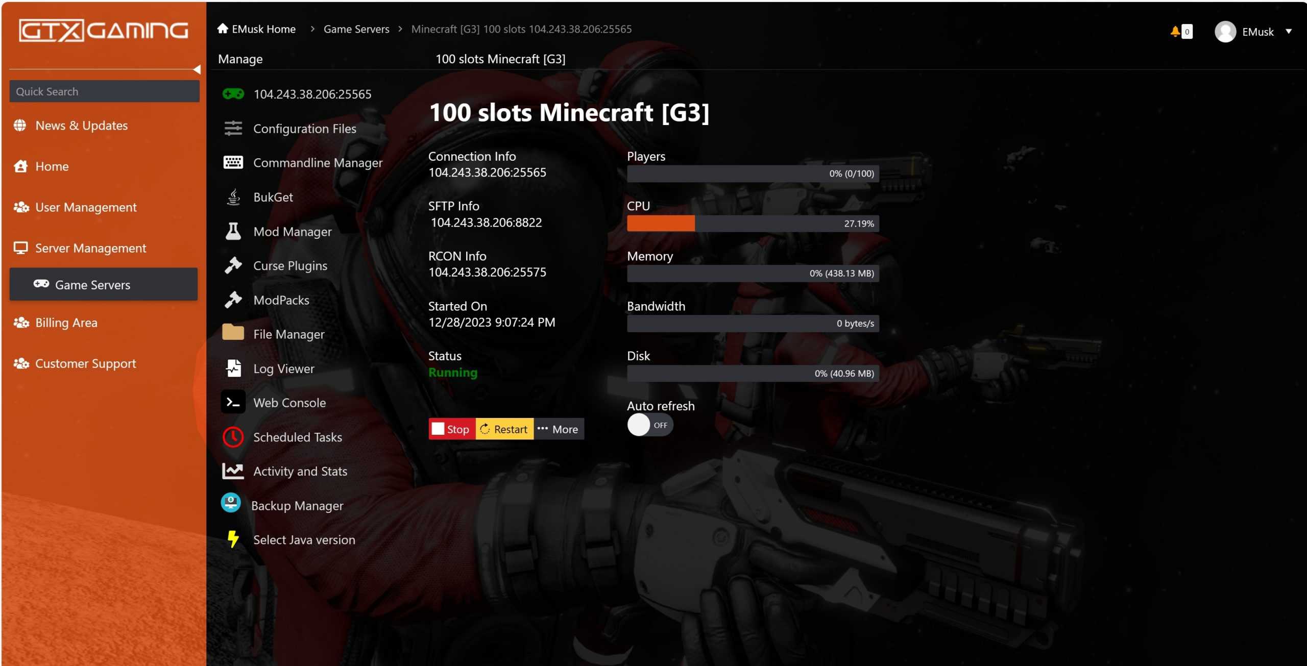 Minecraft Server Hosting