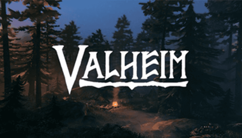 Valheim Server Hosting Link Image