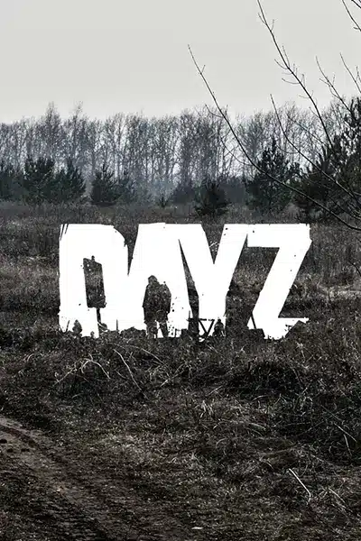 DayZ Standalone server hosting