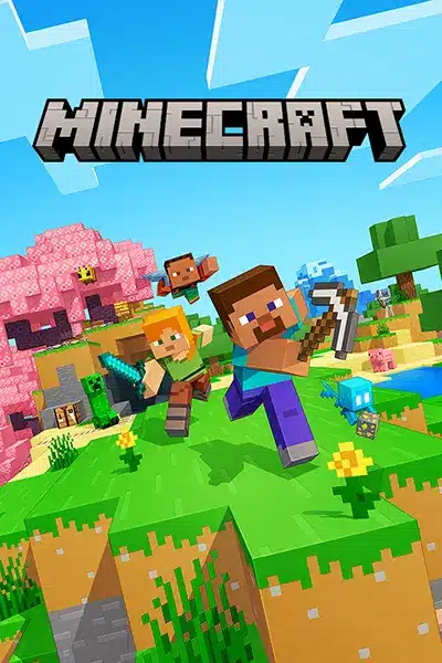 Minecraft server hosting