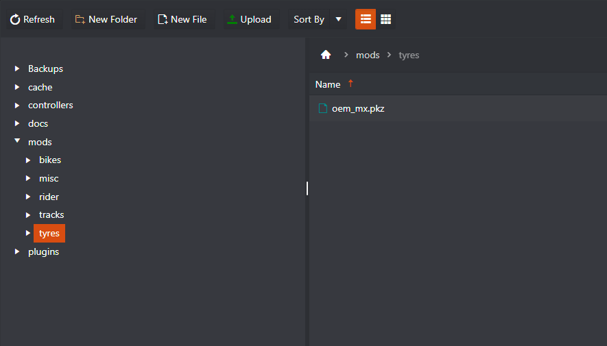 File Manager mods tyres folder with the oem_mx.pkz tyre file